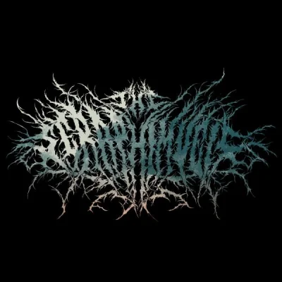The Seraphim Veil - Дискография (2012-2022)