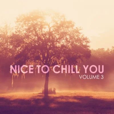 Nice To Chill You, Vol. 3 (2023)