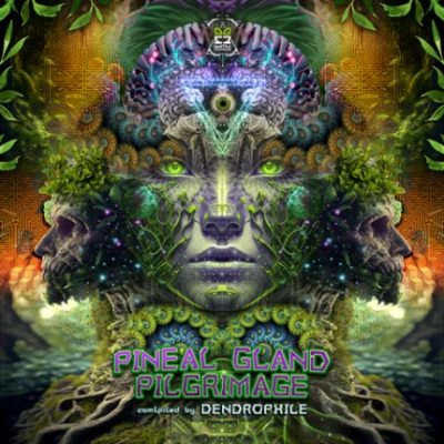 Pineal Gland Pilgrimage (2023)