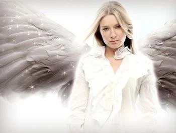 Арктика - Клипы (2007-2009)