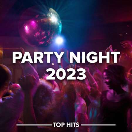VA - Party Night (2023) MP3