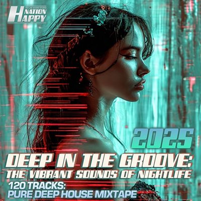 VA - Deep In The Groove (2025) MP3